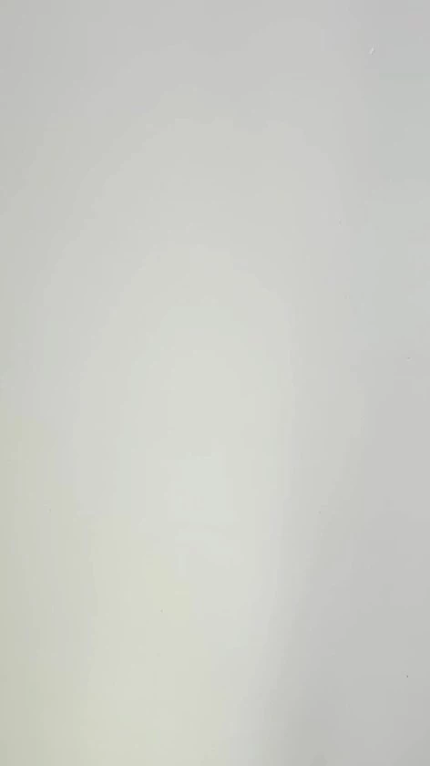 Shark Attack The Game - Nederlandstalig Kaartspel 4 Shark Attack The Game - Nederlandstalig Kaartspel - Afbeelding 2