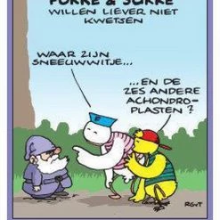 Reid Fokke & Sukke Kwartet 22 Reid Fokke & Sukke Kwartet -Goedkope kaartspellen winkel 521x840 5