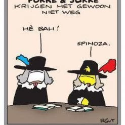 Reid Fokke & Sukke Kwartet 24 Reid Fokke & Sukke Kwartet -Goedkope kaartspellen winkel 521x840 7