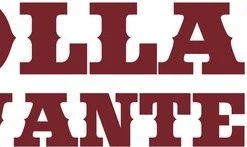 Anna Oppolzer Dollars Wanted Kaartspel - Huch! -Goedkope kaartspellen winkel 550x147