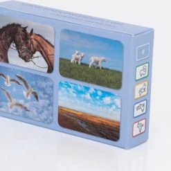 Wad Of Wonders Waddeneilanden Kwartetspel Van De Wadden