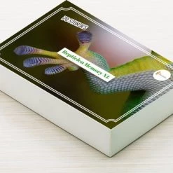 Huurdies Cadeautip! Reptielen Memory - Reptielen Soorten - Memory Spel - 70 Stuks - Schoencadeautjes Sinterklaas -Goedkope kaartspellen winkel 550x352 2