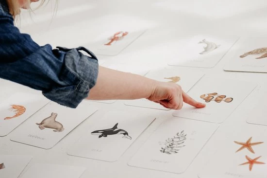 Dierenkaarten | Oceaandieren | Zeedieren | Flashcards Voor Kinderen | 20 Stuks | Teejays 4 Dierenkaarten | Oceaandieren | Zeedieren | Flashcards Voor Kinderen | 20 Stuks | Teejays - Afbeelding 2