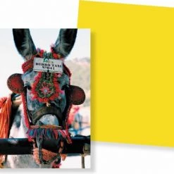 Huurdies Cadeautip! Spanje Memory - Spanje - Memory Spel - 70 Stuks - Schoencadeautjes Sinterklaas -Goedkope kaartspellen winkel 550x378 5