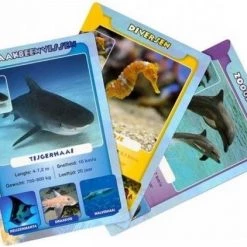 Identity Games Spellenbundel - Kwartet - 3 Stuks - Sealife Kwartet & Paarden Kwartet & Dino Kwartet -Goedkope kaartspellen winkel 550x422 1