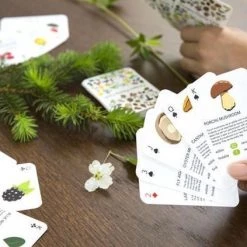 Kikkerland Foragers Playing Cards -Goedkope kaartspellen winkel 550x423 1
