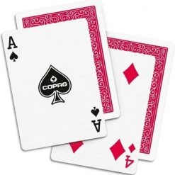 Cartamundi Goochelkaarten Karton Rood 310 Stuks -Goedkope kaartspellen winkel 550x559 2