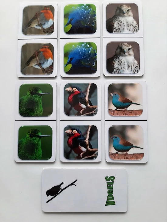 Nevospel Denkspel Voor Mensen Met Dementie FotoDomino Vogels 4 Nevospel Denkspel Voor Mensen Met Dementie FotoDomino Vogels - Afbeelding 2