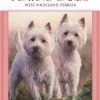 Otter House Limited Speelkaarten Set | West Highland Terrier| Westie 2 Otter House Limited Speelkaarten Set | West Highland Terrier| Westie -Goedkope kaartspellen winkel 550x757 5