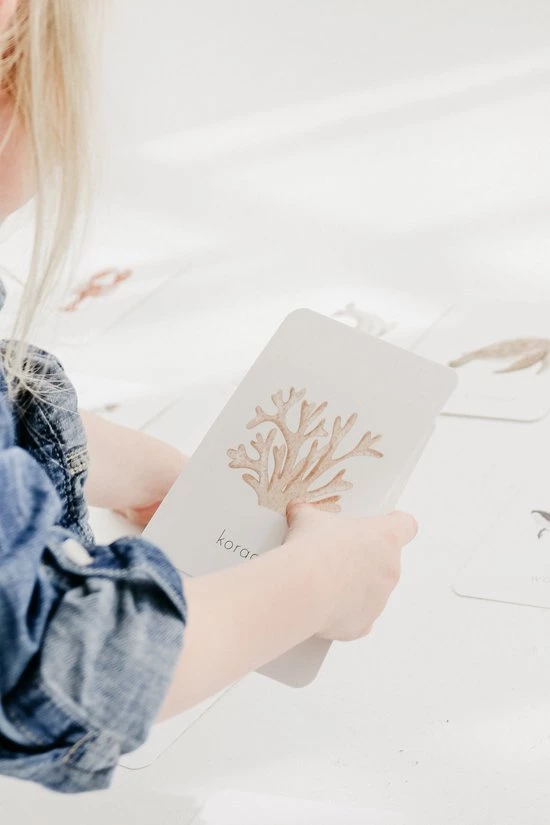 Dierenkaarten | Oceaandieren | Zeedieren | Flashcards Voor Kinderen | 20 Stuks | Teejays 3 Dierenkaarten | Oceaandieren | Zeedieren | Flashcards Voor Kinderen | 20 Stuks | Teejays