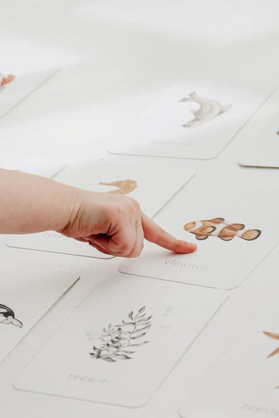 Dierenkaarten | Oceaandieren | Zeedieren | Flashcards Voor Kinderen | 20 Stuks | Teejays 6 Dierenkaarten | Oceaandieren | Zeedieren | Flashcards Voor Kinderen | 20 Stuks | Teejays - Afbeelding 4